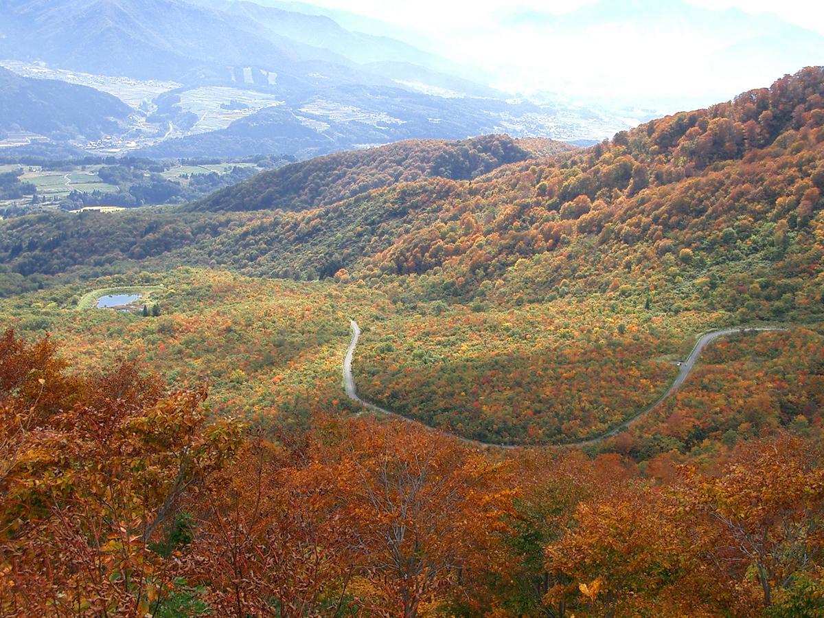 Resort Square Sun Verde 飯山市 部屋 写真