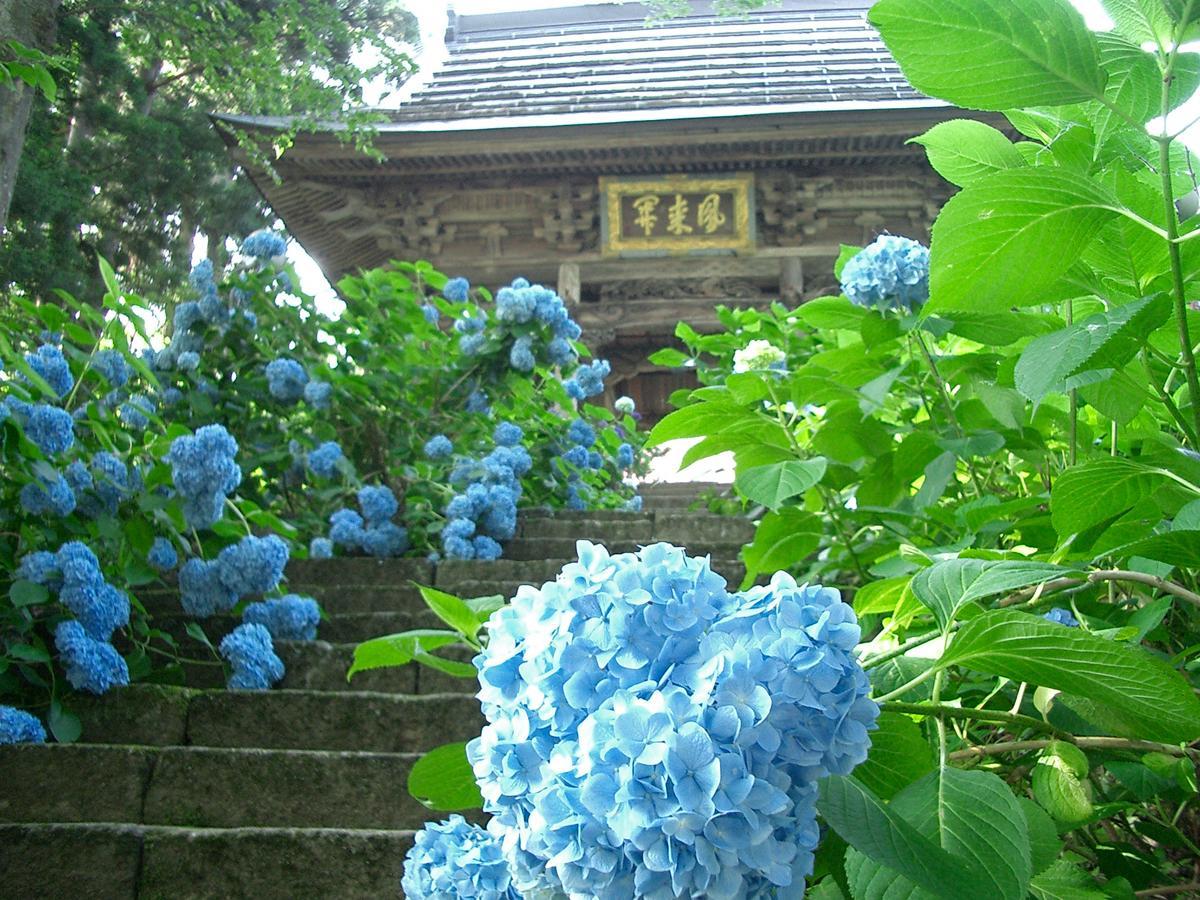 Resort Square Sun Verde 飯山市 部屋 写真